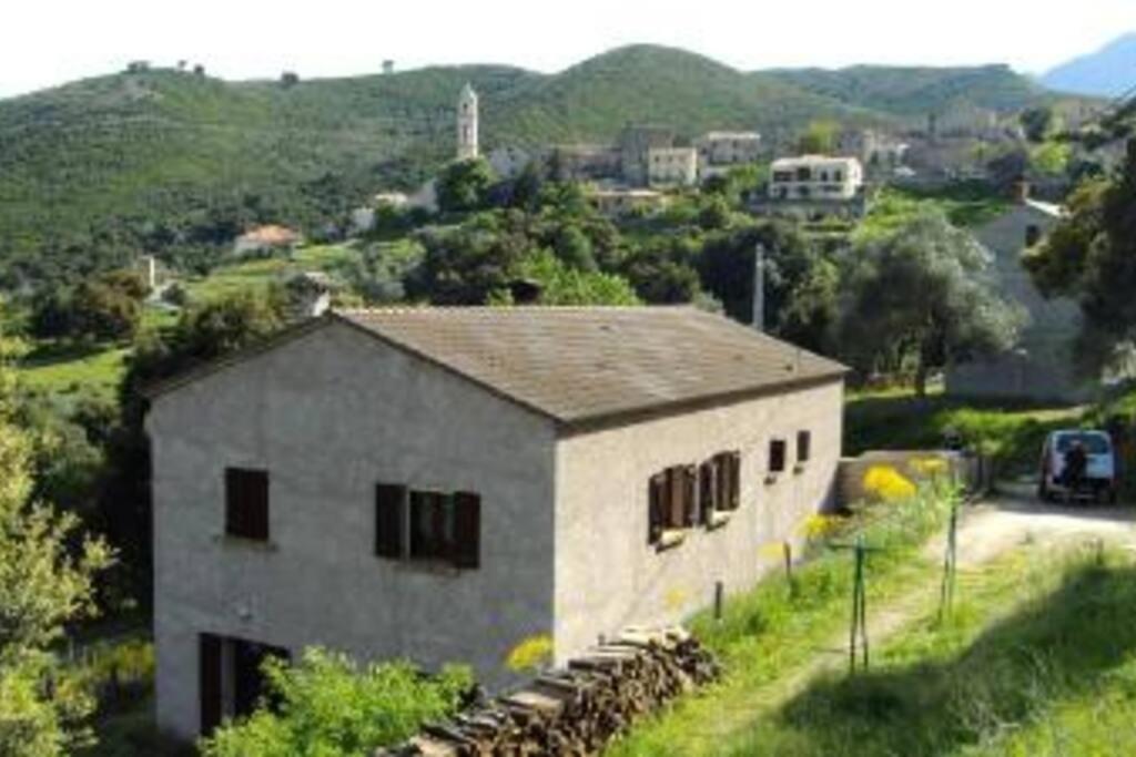 Charmant T2 Proche De Corte Soveria Luaran gambar